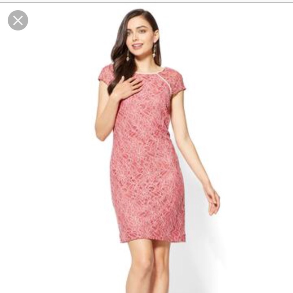 Lace Shift Dress NWOT